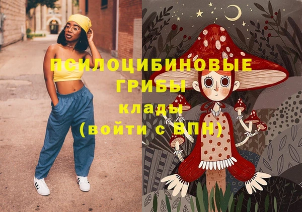 мяу мяу кристалл Арсеньев