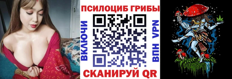 Купить где Сердобск Псилоцибиновые грибы MAGIC MUSHROOMS